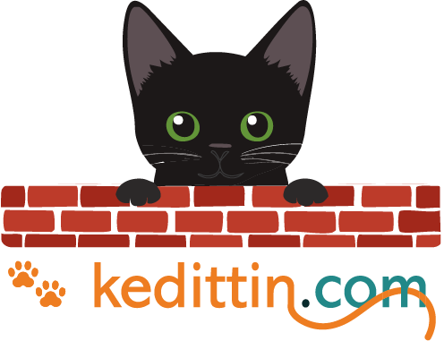 Kedittin.com Logo
